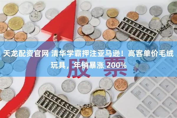天龙配资官网 清华学霸押注亚马逊！高客单价毛绒玩具，年销暴涨 200%